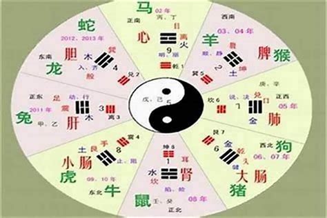 哲字五行|哲的五行属性及寓意